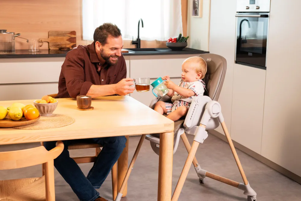 Стульчик для кормления Chicco Polly Armonia, Scandinavian Стульчик для кормления Chicco Polly Armonia, Scandinavian