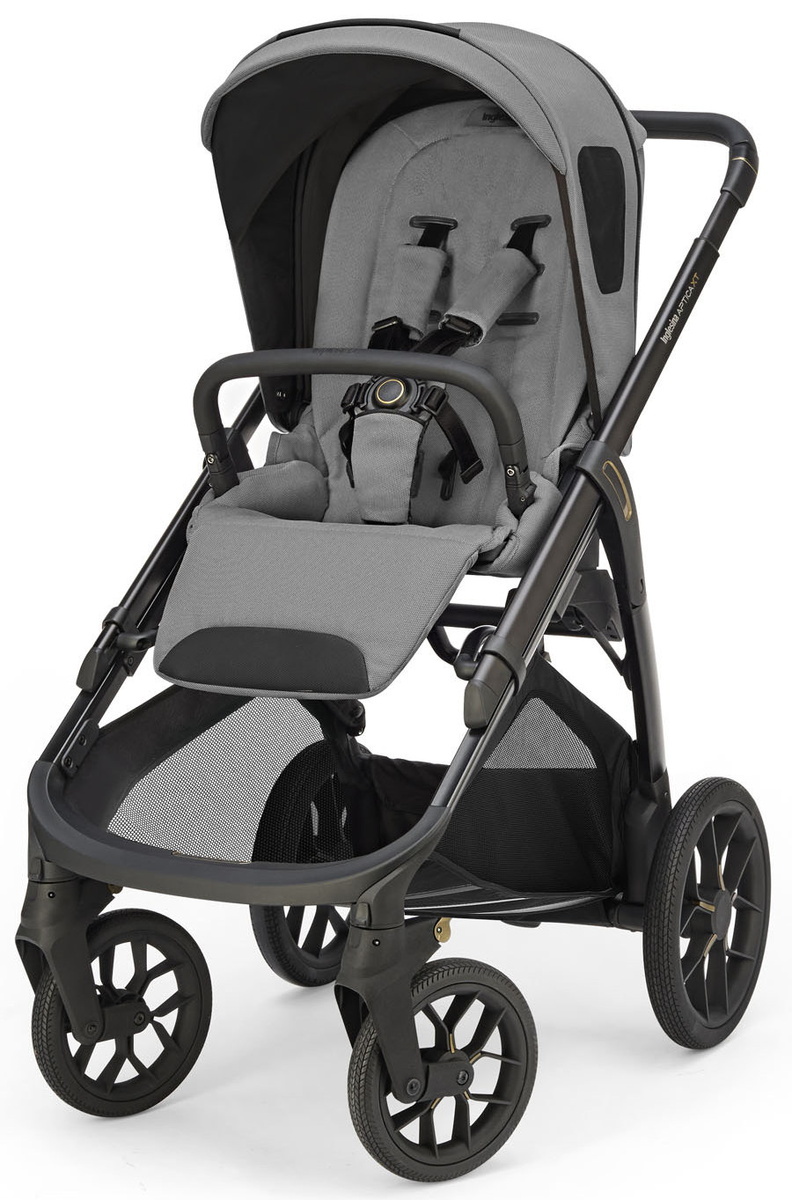 Коляска 3в1 Inglesina Aptica XT Darwin i-Size, Canyon grey