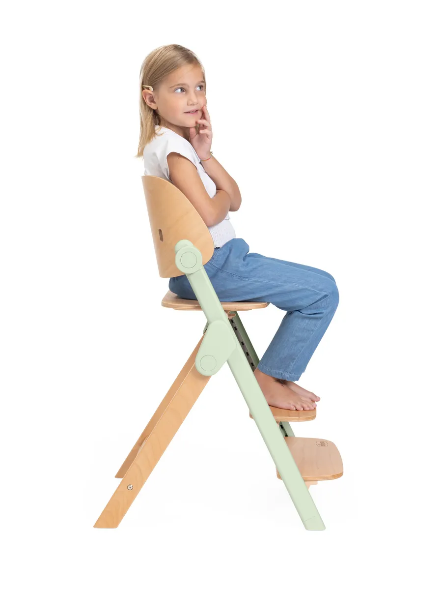  Стульчик для кормления Chicco Meraviglia Olive