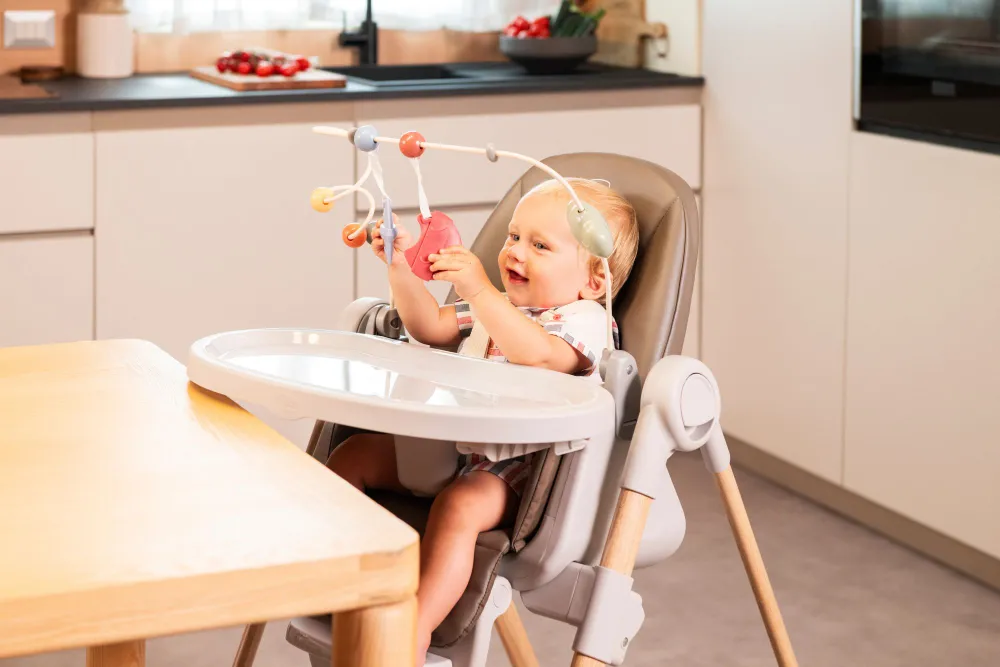 Стульчик для кормления Chicco Polly Armonia, Scandinavian Стульчик для кормления Chicco Polly Armonia, Scandinavian